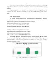 Finansinių rodiklių analizė: švaros ir higienos prekės UAB "Pireka" 7 puslapis