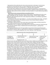 Administracinės teisės samprata 12 puslapis