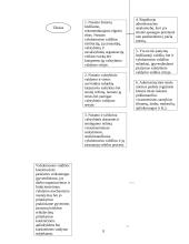 Administracinės teisės samprata 9 puslapis
