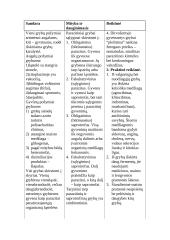 Grybų vaidmuo aplinkoje 4 puslapis