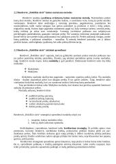 Įmonės charakteristika: AB "Rokiškio sūris" 6 puslapis