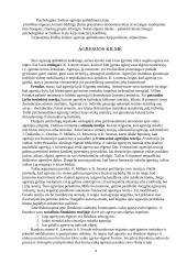Agresijos samprata psichologijoje 4 puslapis