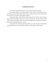 Ankstyvojo amžiaus vaikų higiena 9 puslapis