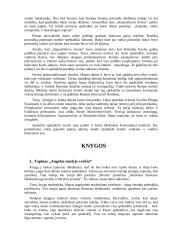 Įspūdžiai iš spektaklių bei knygų 4 puslapis