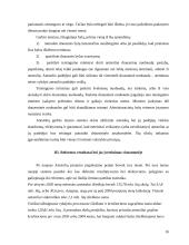 Antstolių savivalda 16 puslapis