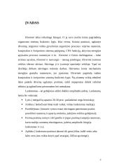 Ištvermės ir lankstumo lavinimas 2 puslapis