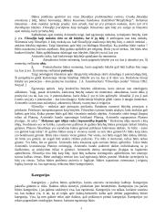 Aristotelio būtis 4 puslapis