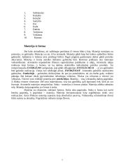 Aristotelio būtis 5 puslapis