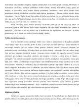 K. Gaivenis  "Margas žodžių pasaulis" 5 puslapis