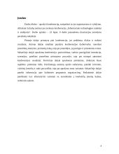 Konferencijos organizavimas: "Informacinės technologijos mokslui ir studijoms" 2 puslapis