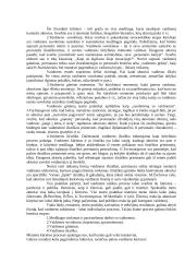 Kūrybos procesas. Kūrybos laisvė 2 puslapis