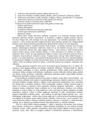 Kūrybos procesas. Kūrybos laisvė 16 puslapis