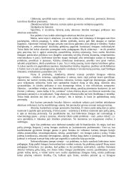 Kūrybos procesas. Kūrybos laisvė 3 puslapis