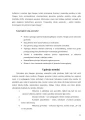 Asmenybės vystymosi veiksniai 11 puslapis