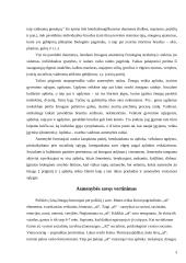 Asmenybės vystymosi veiksniai 3 puslapis