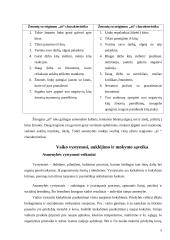 Asmenybės vystymosi veiksniai 5 puslapis