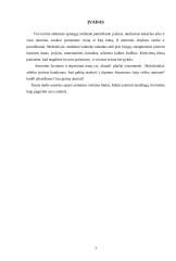 Atminties stiprinimas 3 puslapis