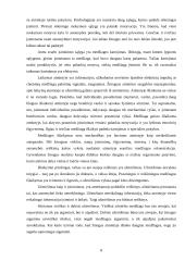Atminties reiškinys 8 puslapis