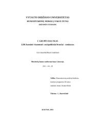 Miestiečių luomo susiformavimas Lietuvoje