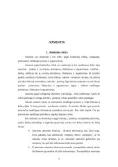 Atmintis, atminties rūšys, gerinimo būdai 3 puslapis