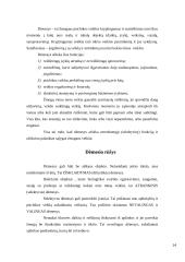Atmintis ir dėmesingumas 14 puslapis