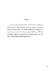 Atmintis ir dėmesingumas 3 puslapis