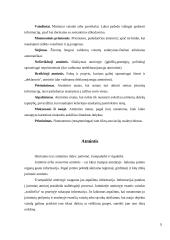 Atmintis ir dėmesingumas 5 puslapis