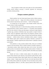 Atmintis ir dėmesingumas 8 puslapis