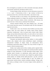 Atmintis ir dėmesingumas 9 puslapis