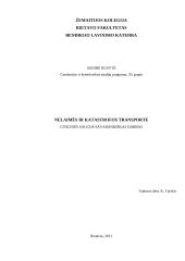 Nelaimės ir katastrofos transporte