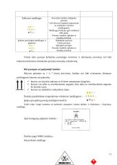 Nelaimės ir katastrofos transporte 11 puslapis