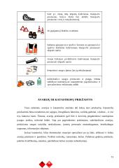 Nelaimės ir katastrofos transporte 13 puslapis