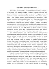 Nelaimės ir katastrofos transporte 6 puslapis