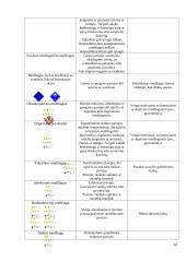 Nelaimės ir katastrofos transporte 10 puslapis