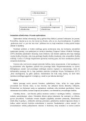 Atmintis. Mokymasis 6 puslapis