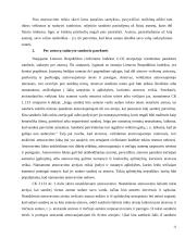 Atstovavimo institutas 11 puslapis