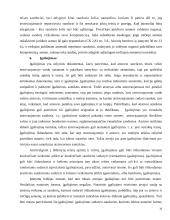 Atstovavimo institutas 16 puslapis