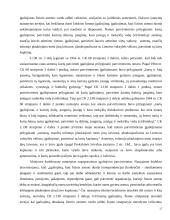 Atstovavimo institutas 17 puslapis