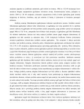 Atstovavimo institutas 18 puslapis
