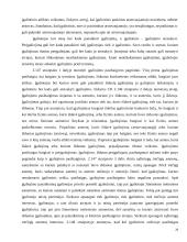 Atstovavimo institutas 20 puslapis