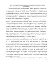 Atstovavimo institutas 3 puslapis