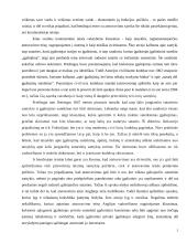Atstovavimo institutas 5 puslapis
