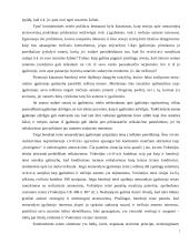 Atstovavimo institutas 7 puslapis