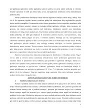 Atstovavimo institutas 9 puslapis