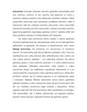 Atstovavimo teisės forma 18 puslapis