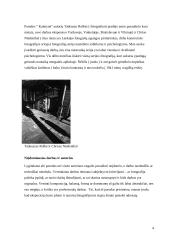 Parodų analizė "Lietuvos fotografijos dešimtmečiai 1945 – 1990" ir "Kaimynė" 4 puslapis