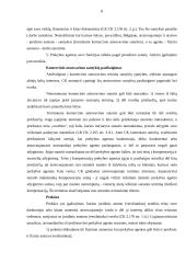 Atstovavimo samprata, subjektai bei rūšys 8 puslapis