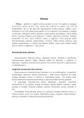 Plieno grupės pagal panaudojimo sritį 2 puslapis