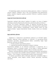 Plieno grupės pagal panaudojimo sritį 3 puslapis