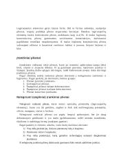 Plieno grupės pagal panaudojimo sritį 5 puslapis